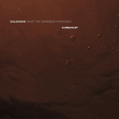 ka041 | 2xLP <br>GOLDWAVE <br>What The Darkness Proposes