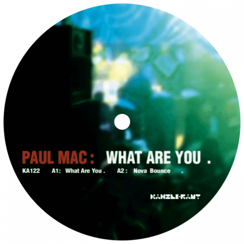 ka122 | 12″ <br>PAUL MAC <br>What Are You